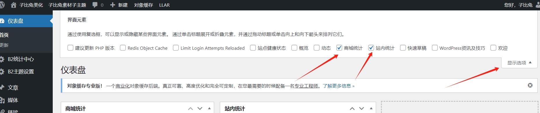 B2仪表盘统计图表插件（李初一仿自子比）