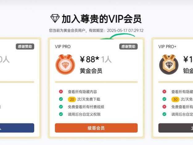 B2美化仿Haitheme主题的VIP页面